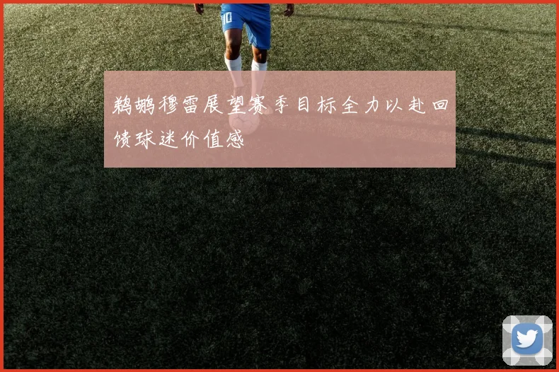 鹈鹕穆雷展望赛季目标全力以赴回馈球迷价值感